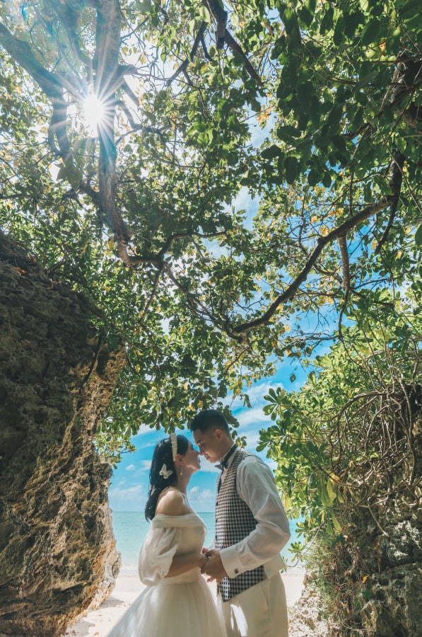 フォトギャラリー2